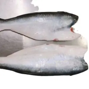 Whole Catfish (Pack of 2 or 3)