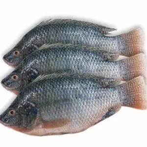 Whole Tilapia (Pack of 3)